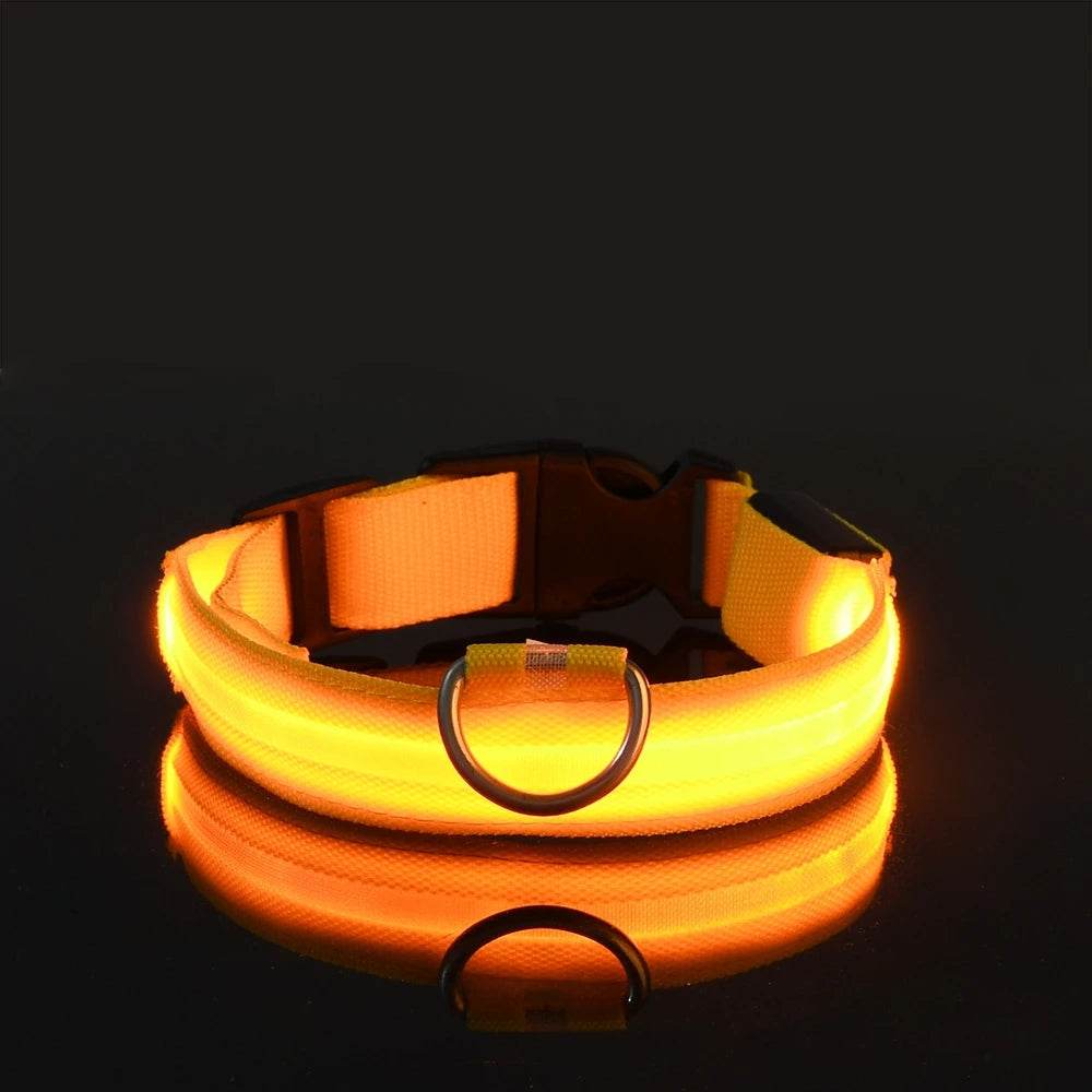 GlowWalk™ Dog Leash - LED Night Safety - Savor Collective Inc.