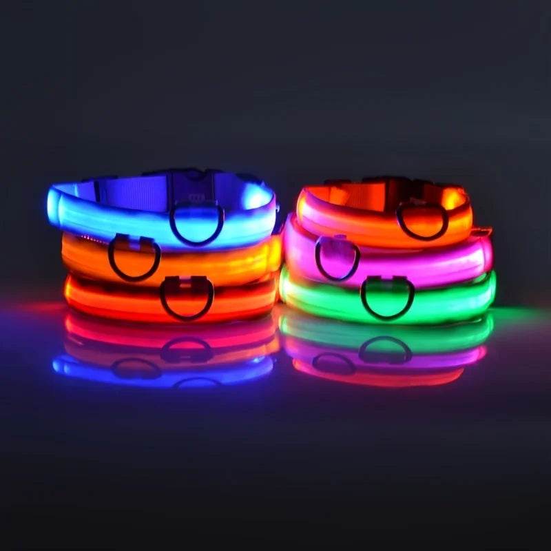GlowWalk™ Dog Leash - LED Night Safety - Savor Collective Inc.
