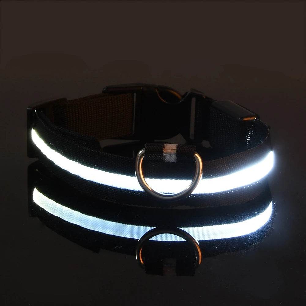 GlowWalk™ Dog Leash - LED Night Safety - Savor Collective Inc.