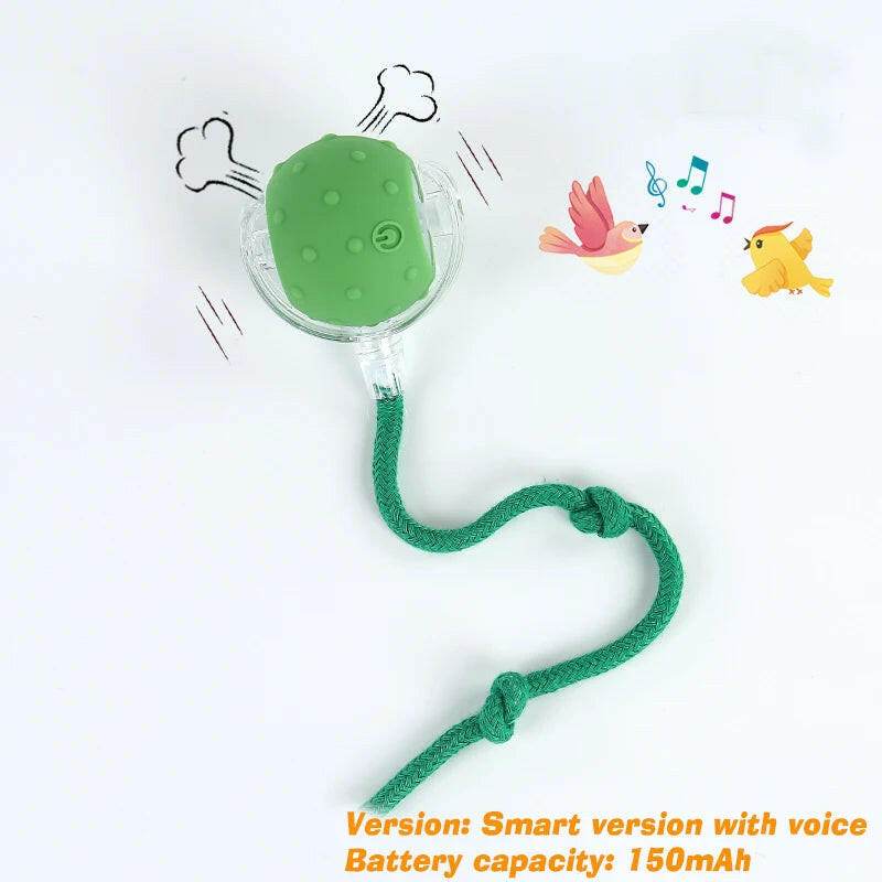 ChaseBuddy™ Pet Ball - Smart Rolling - Savor Collective Inc.