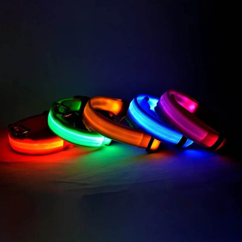 GlowWalk™ Dog Leash - LED Night Safety - Savor Collective Inc.