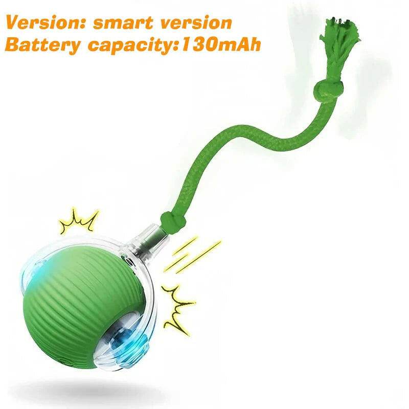 ChaseBuddy™ Pet Ball - Smart Rolling - Savor Collective Inc.