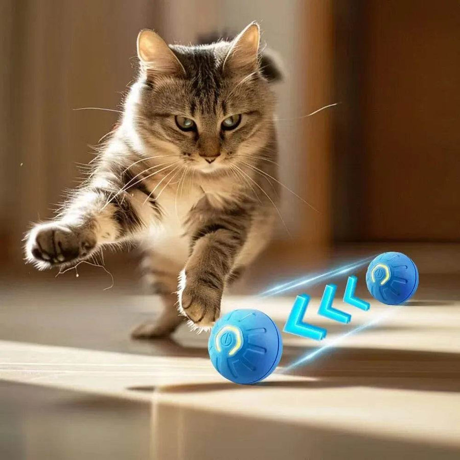 PlaySphere™ Dog Ball - Smart Interactive - Savor Collective Inc.