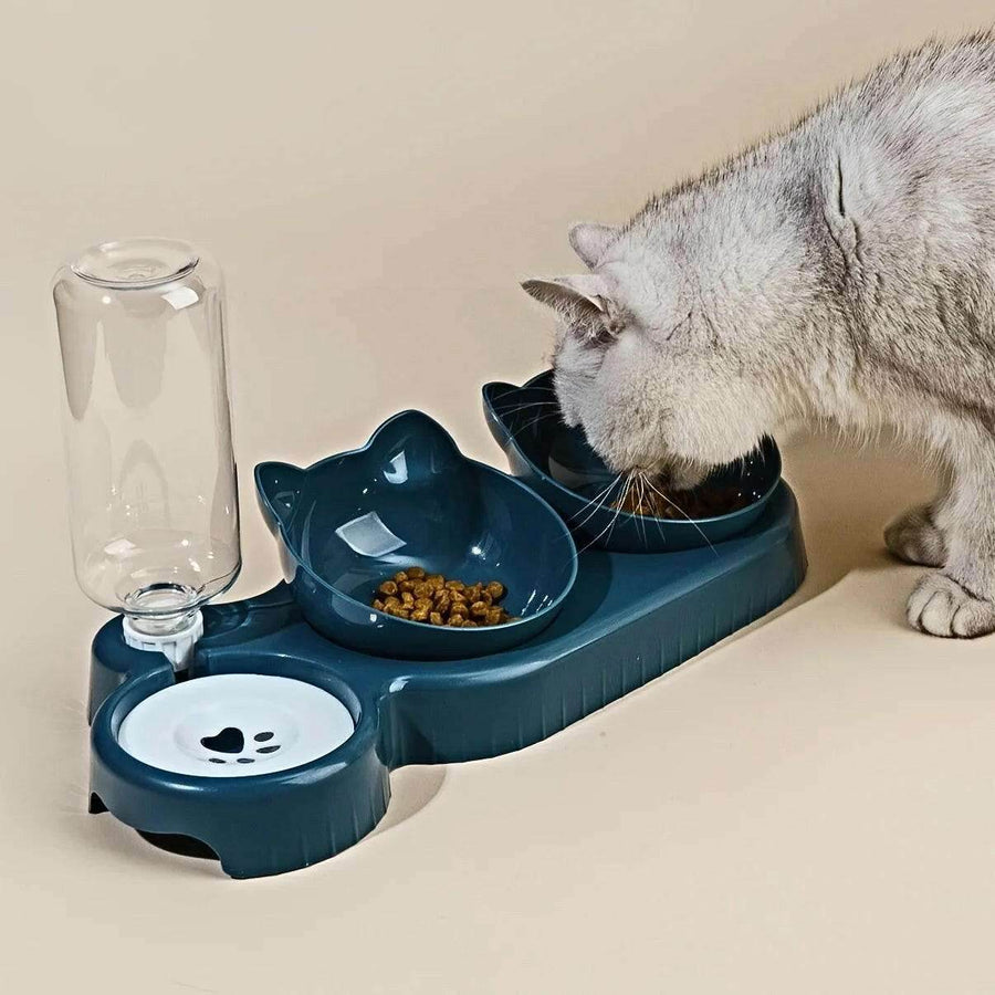 SavorPaw™ Feeding Station - 3-in-1 Tilted - Savor Collective Inc.
