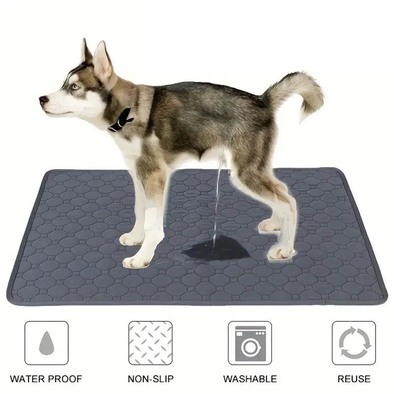TrainSafe™ Training Mat - Waterproof - Savor Collective Inc.