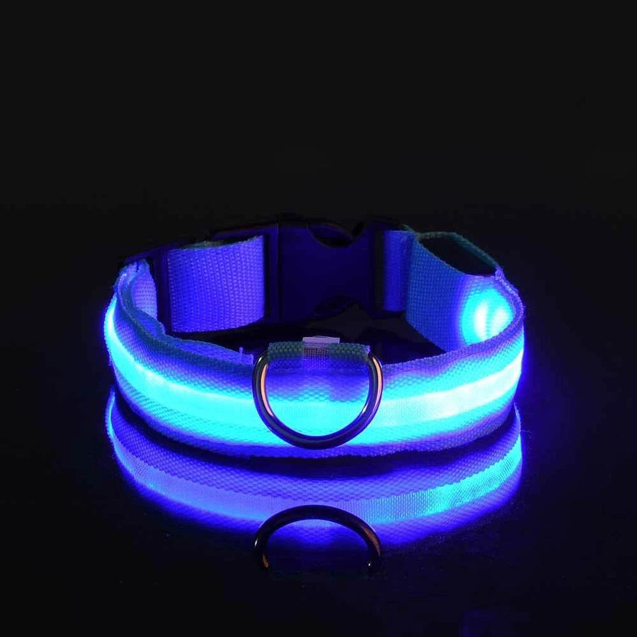 GlowWalk™ Dog Leash - LED Night Safety - Savor Collective Inc.