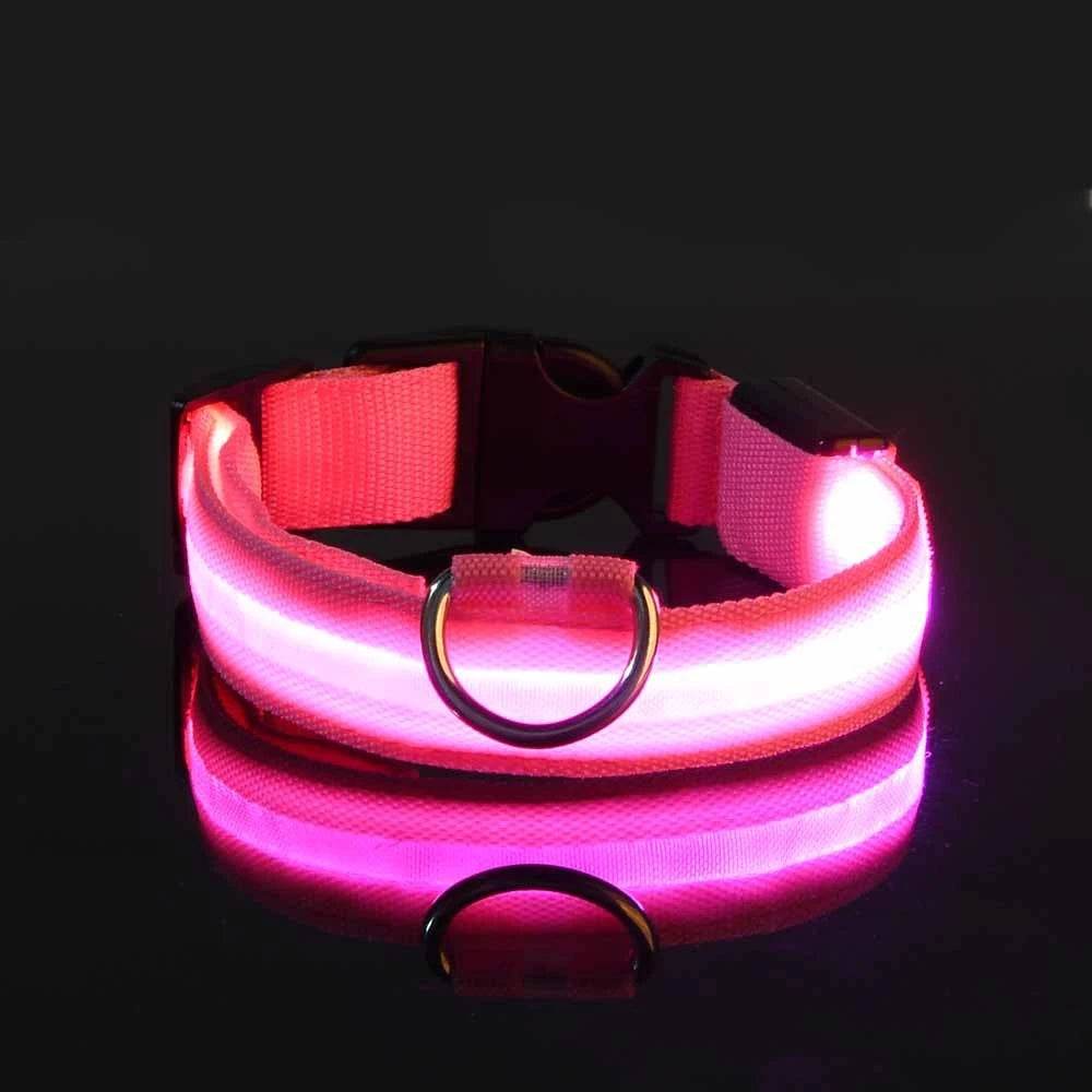 GlowWalk™ Dog Leash - LED Night Safety - Savor Collective Inc.