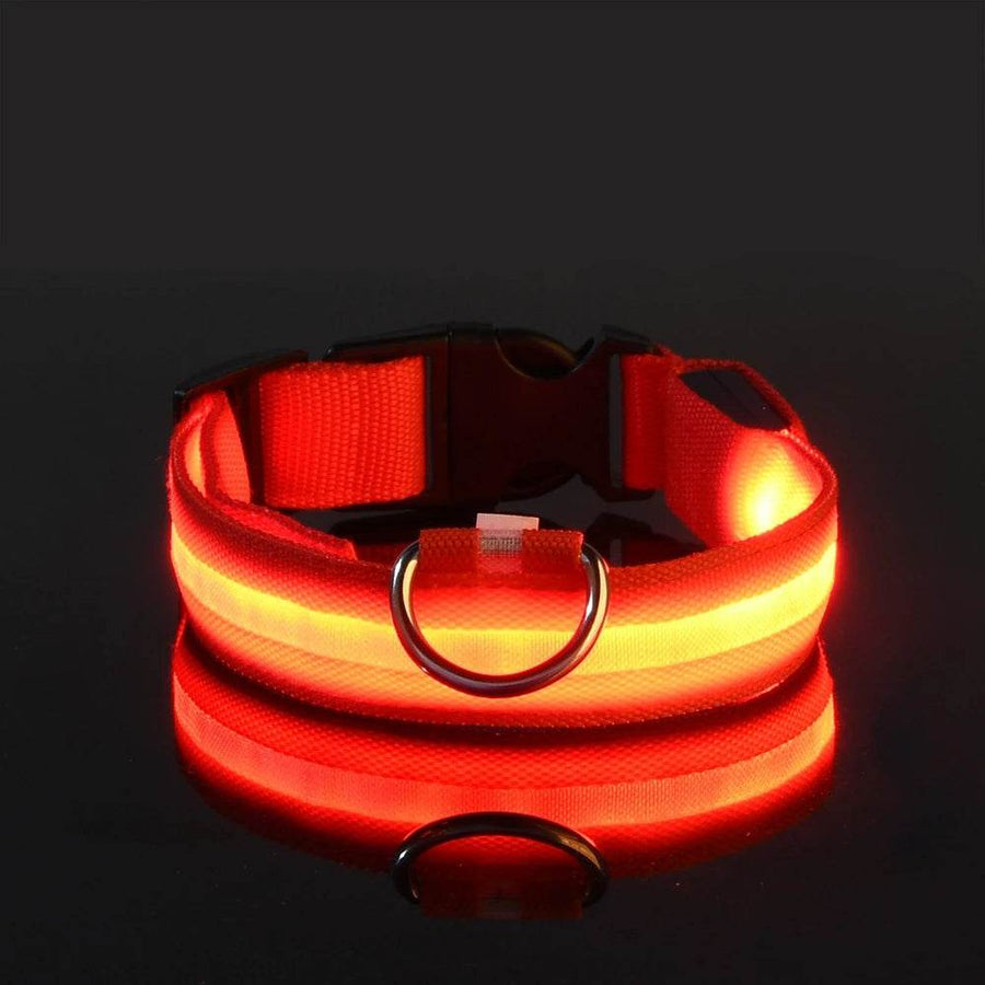GlowWalk™ Dog Leash - LED Night Safety - Savor Collective Inc.