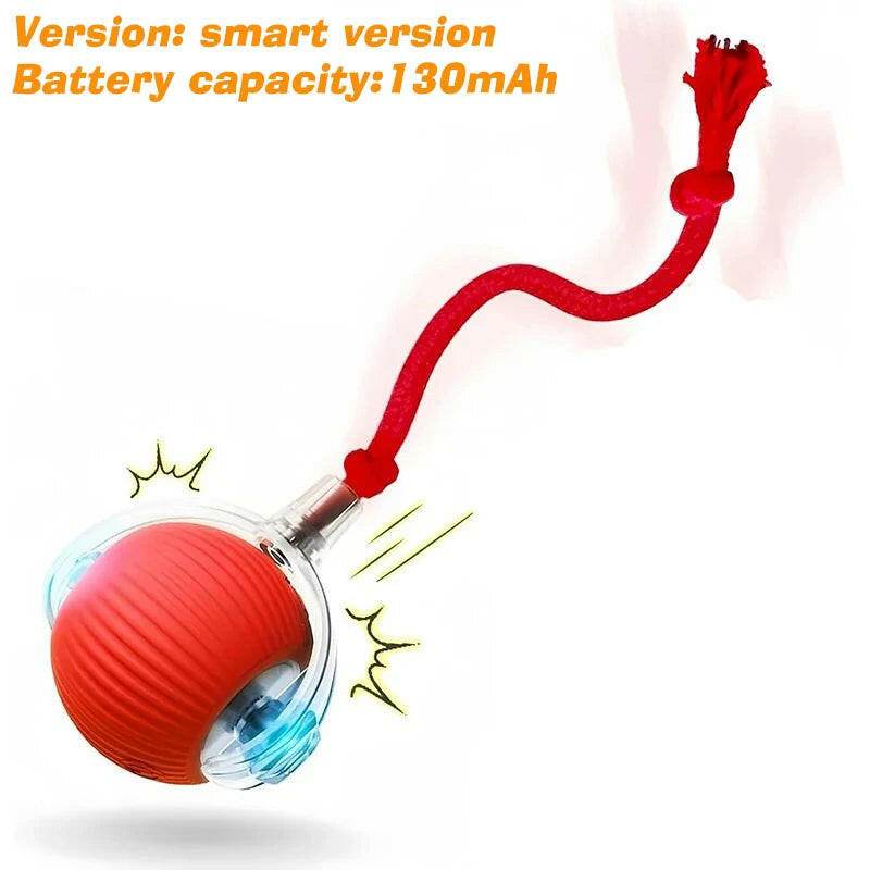 ChaseBuddy™ Pet Ball - Smart Rolling - Savor Collective Inc.