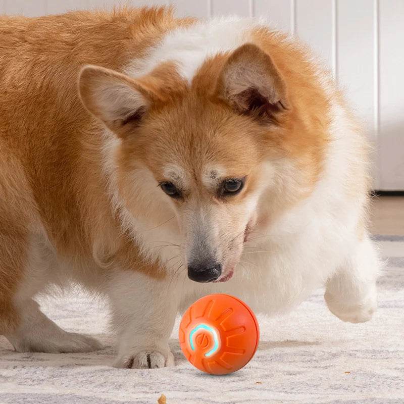 PlaySphere™ Dog Ball - Smart Interactive - Savor Collective Inc.