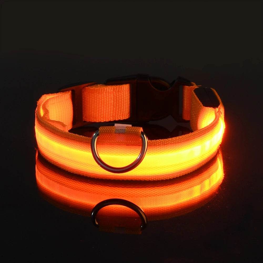 GlowWalk™ Dog Leash - LED Night Safety - Savor Collective Inc.