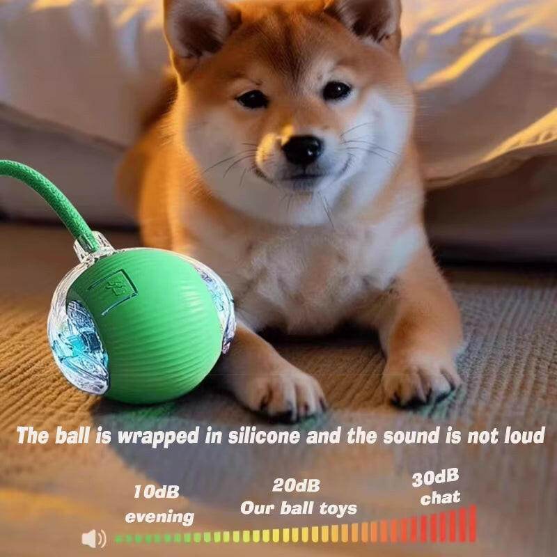 ChaseBuddy™ Pet Ball - Smart Rolling - Savor Collective Inc.