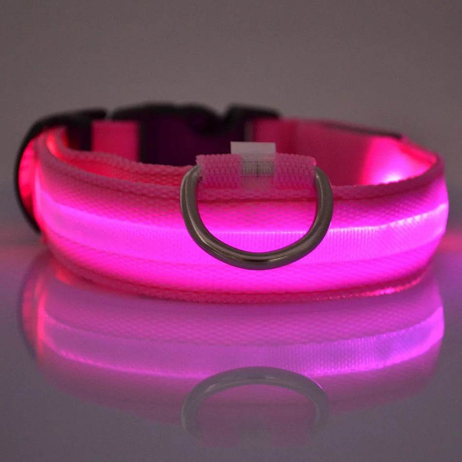 GlowWalk™ Dog Leash - LED Night Safety - Savor Collective Inc.