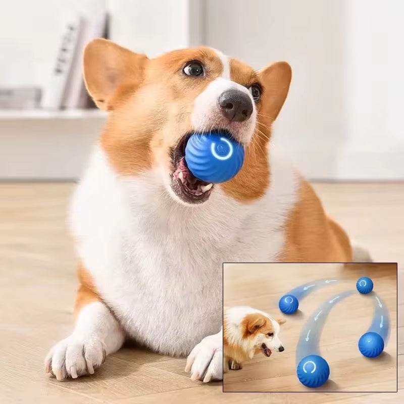 PlaySphere™ Dog Ball - Smart Interactive - Savor Collective Inc.