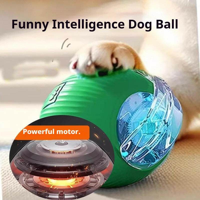 ChaseBuddy™ Pet Ball - Smart Rolling - Savor Collective Inc.