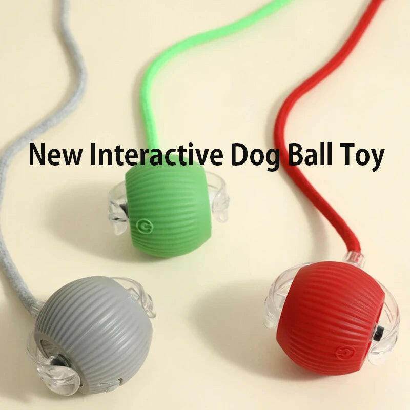 ChaseBuddy™ Pet Ball - Smart Rolling - Savor Collective Inc.