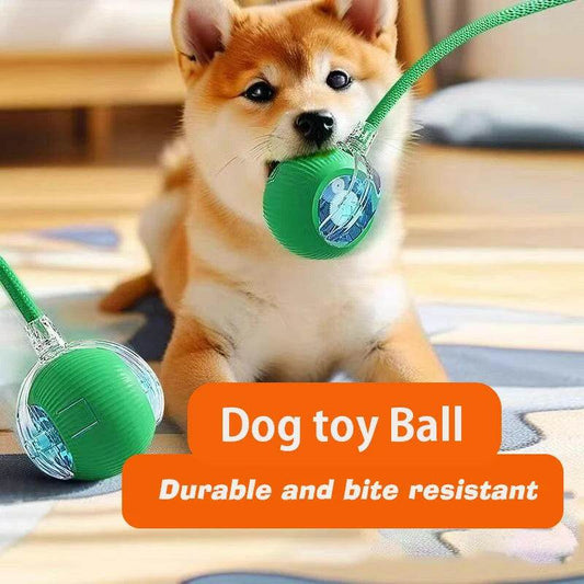 ChaseBuddy™ Pet Ball - Smart Rolling - Savor Collective Inc.