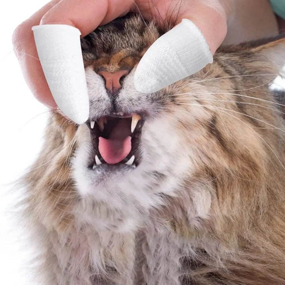 DentalPaws™ Finger Toothbrush - 8/12 Piece - Savor Collective Inc.