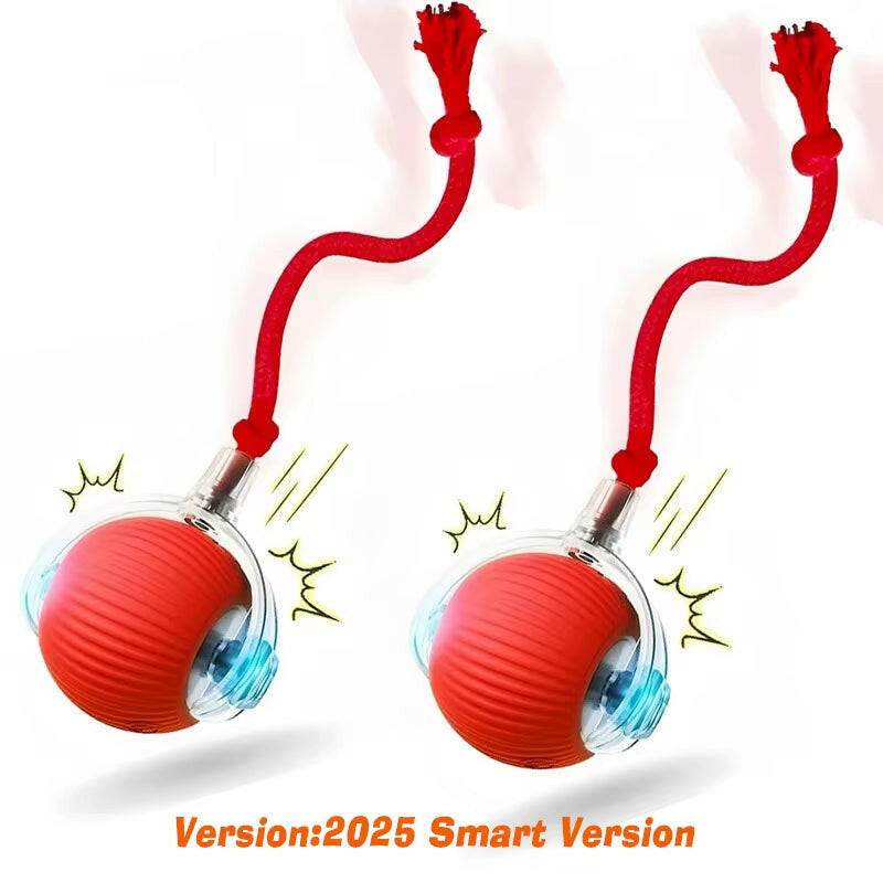 ChaseBuddy™ Pet Ball - Smart Rolling - Savor Collective Inc.