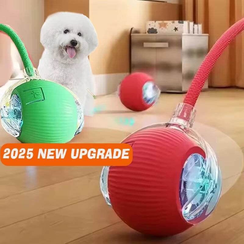 ChaseBuddy™ Pet Ball - Smart Rolling - Savor Collective Inc.