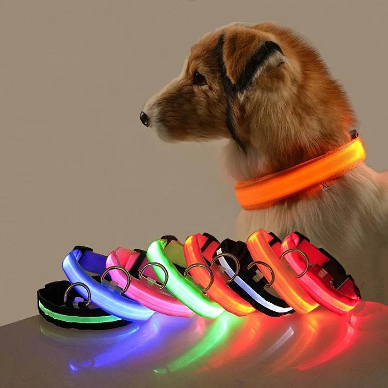 GlowWalk™ Dog Leash - LED Night Safety - Savor Collective Inc.