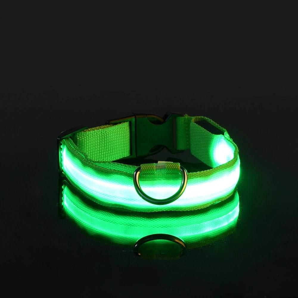 GlowWalk™ Dog Leash - LED Night Safety - Savor Collective Inc.