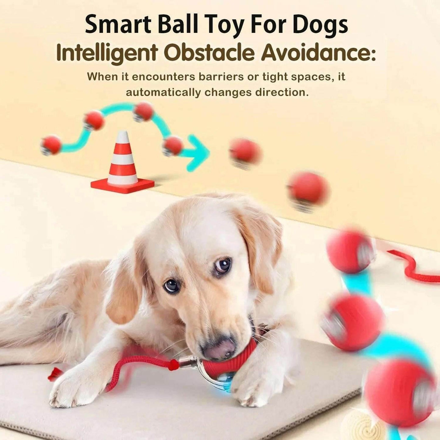 ChaseBuddy™ Pet Ball - Smart Rolling - Savor Collective Inc.