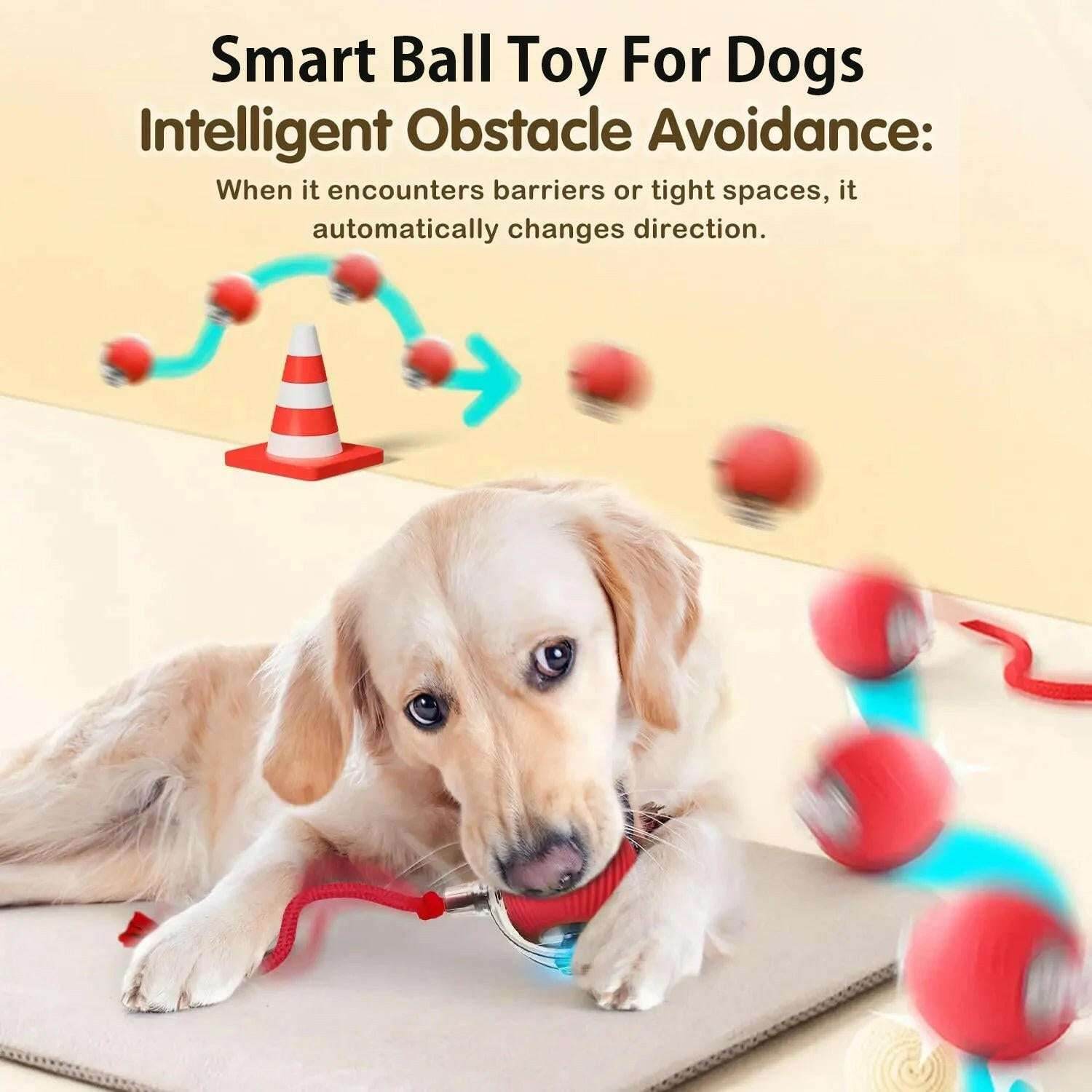 ChaseBuddy™ Pet Ball - Smart Rolling - Savor Collective Inc.