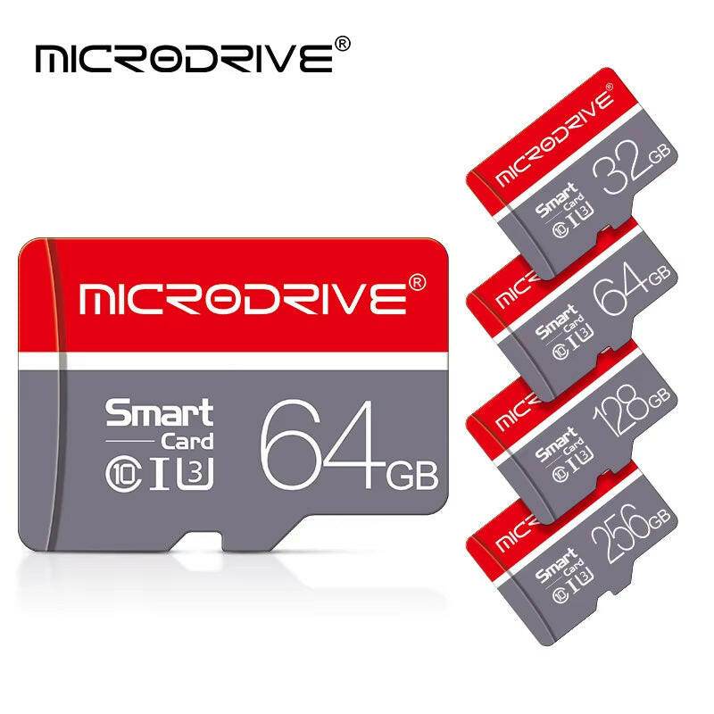 DataVault™ Mini SD Card - Class 10 - Savor Collective Inc.