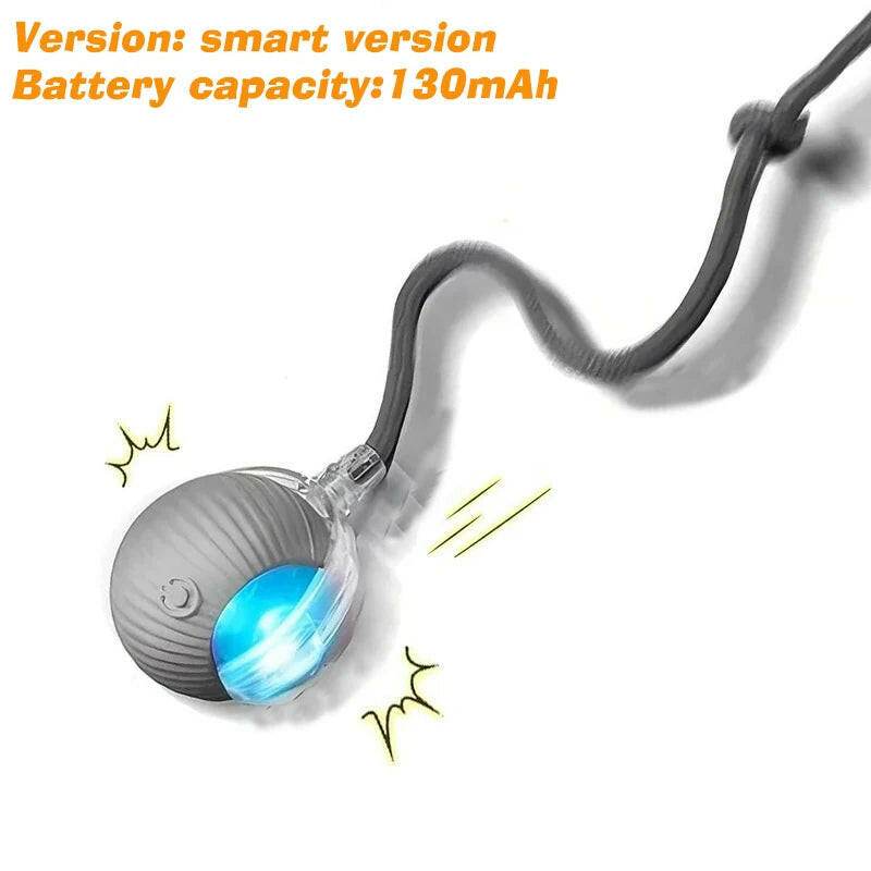 ChaseBuddy™ Pet Ball - Smart Rolling - Savor Collective Inc.