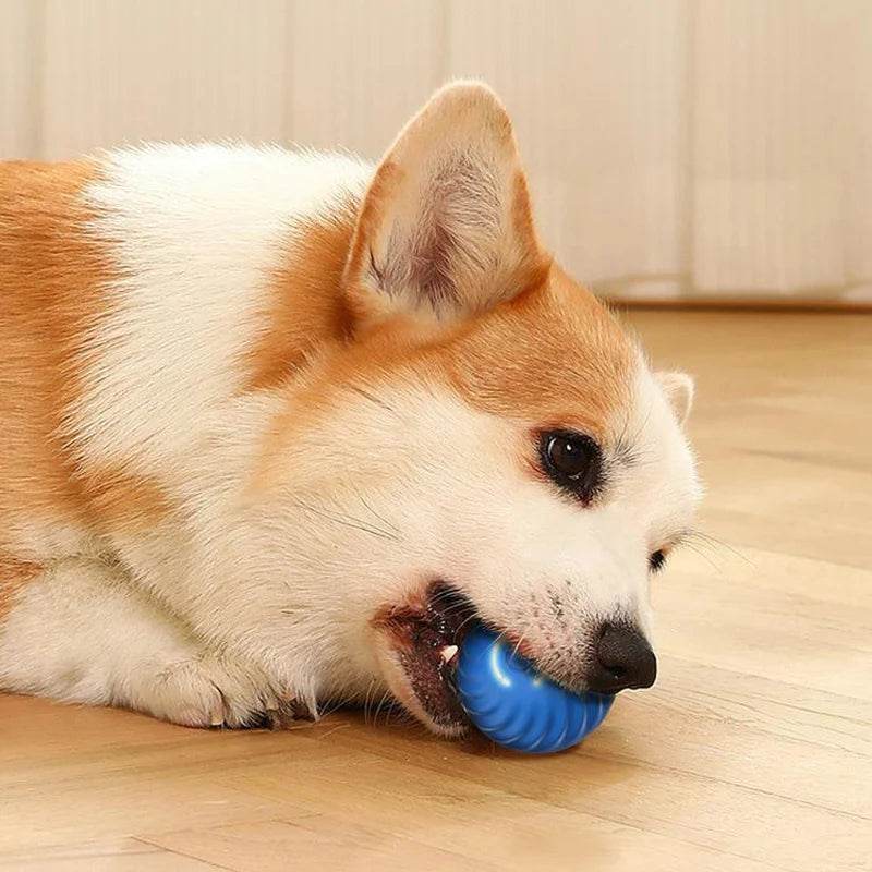 PlaySphere™ Dog Ball - Smart Interactive - Savor Collective Inc.